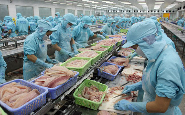 CPTPP boosts Vietnam's aquatic exports to Japan